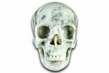 Realistic, Polished Tree Agate Skull #378618-1